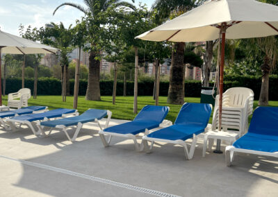 palmeras_piscina