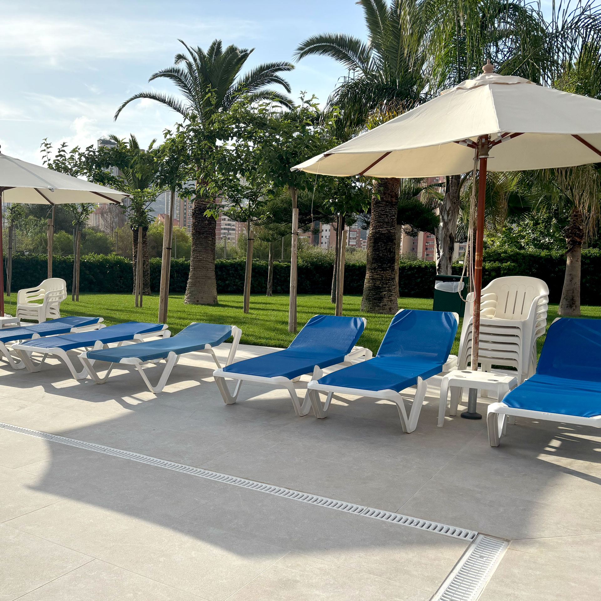 palmeras_piscina