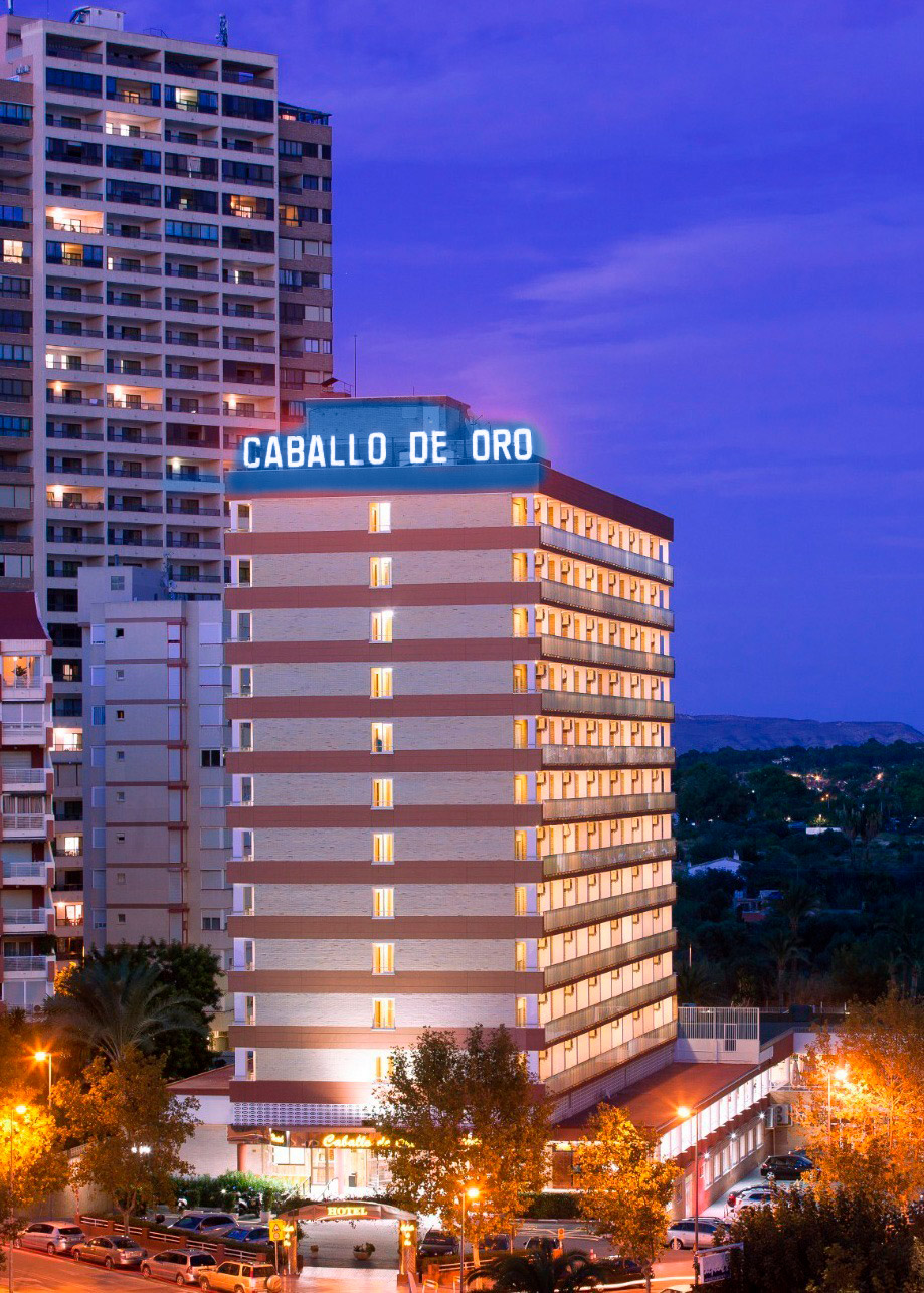vista-nocturna-caballo-de-oro-25